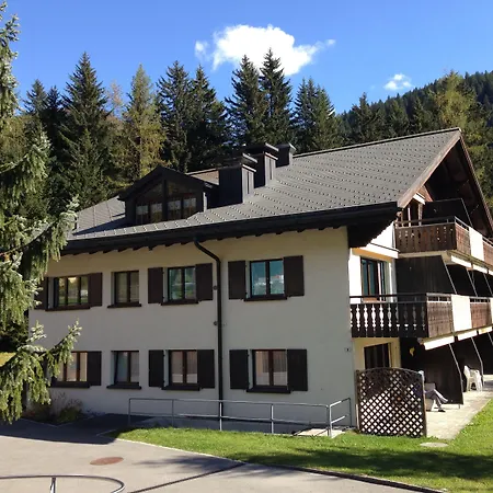 Laret, Ginseng Nr 12 Ostrava