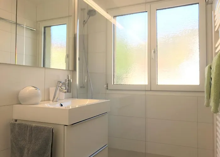 Laret, Ginseng Nr 12 Daire Ostrava