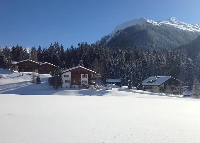 Laret, Ginseng Nr 12 * Ostrava