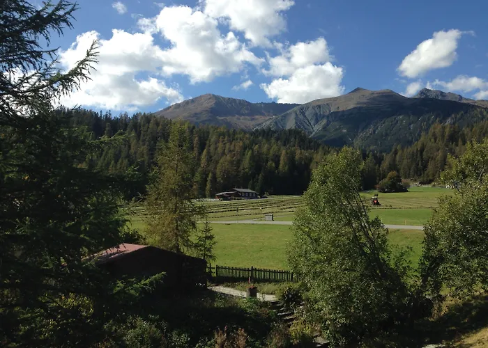 Laret, Ginseng Nr 12 Davos