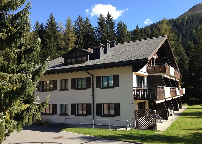 Laret, Ginseng Nr 12 Ostrava