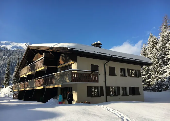 Daire Laret, Ginseng Nr 12 *