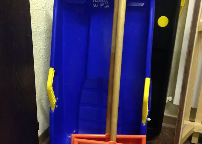 Daire Laret, Ginseng Nr 12 Ostrava