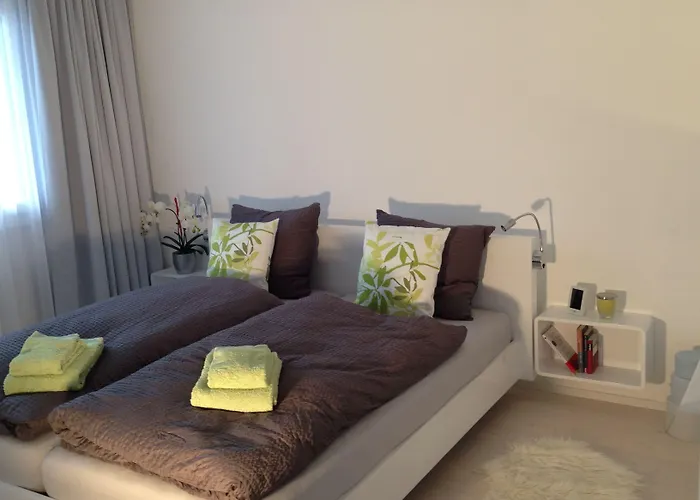 Laret, Ginseng Nr 12 Daire Ostrava