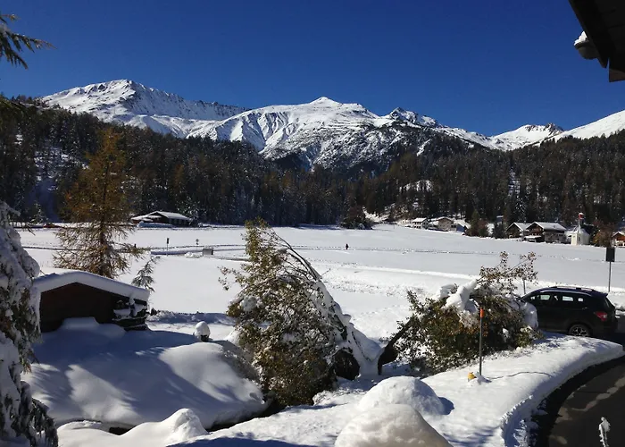 Daire Laret, Ginseng Nr 12