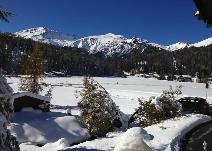 Laret, Ginseng Nr 12 Davos